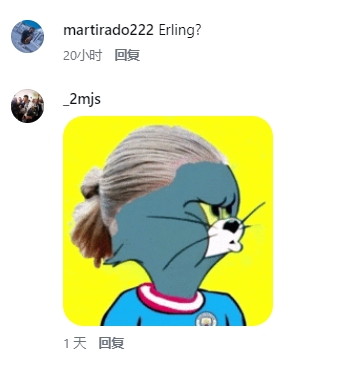 哈兰德亲自盖章：网友神似自己，INS评论“我同意”