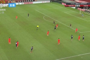 维也纳快速VS阿尔塔奇哪里看
